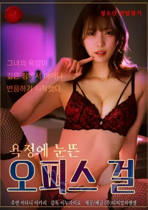 长夜售票员 热播电视剧全集免费观看